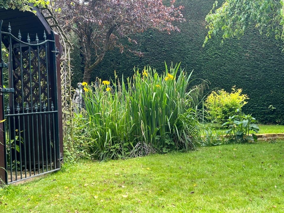 Natural landscape, Garden, Garden view