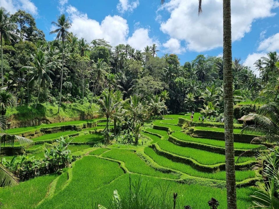 Nearby landmark, Natural landscape, Other