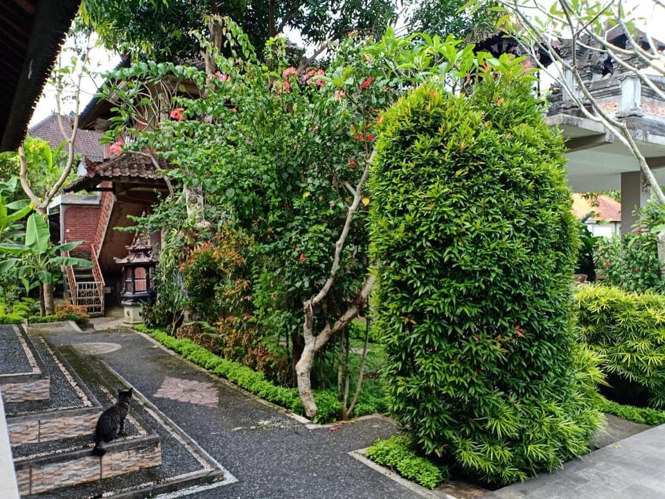 Natural landscape, Inner courtyard view