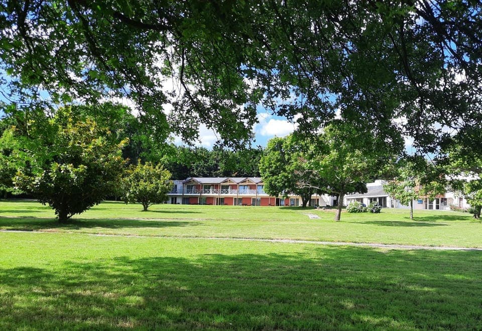 Natural landscape, Garden, Garden view