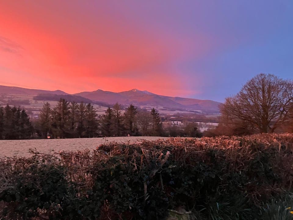 View (from property/room)