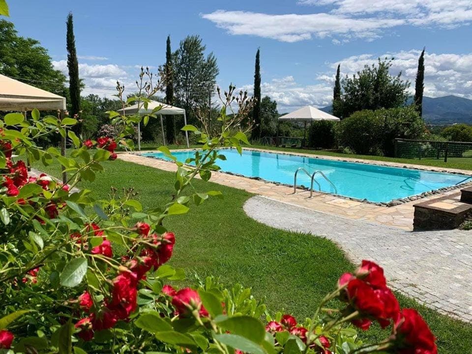 Pool view, Swimming pool, Swimming pool