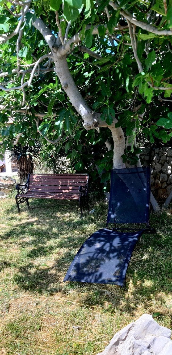 Family Apartment Miluna Apartment in Zadar County