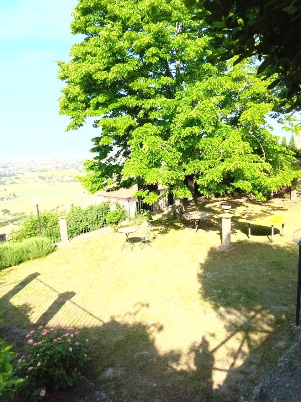 Patio, Garden, Garden view