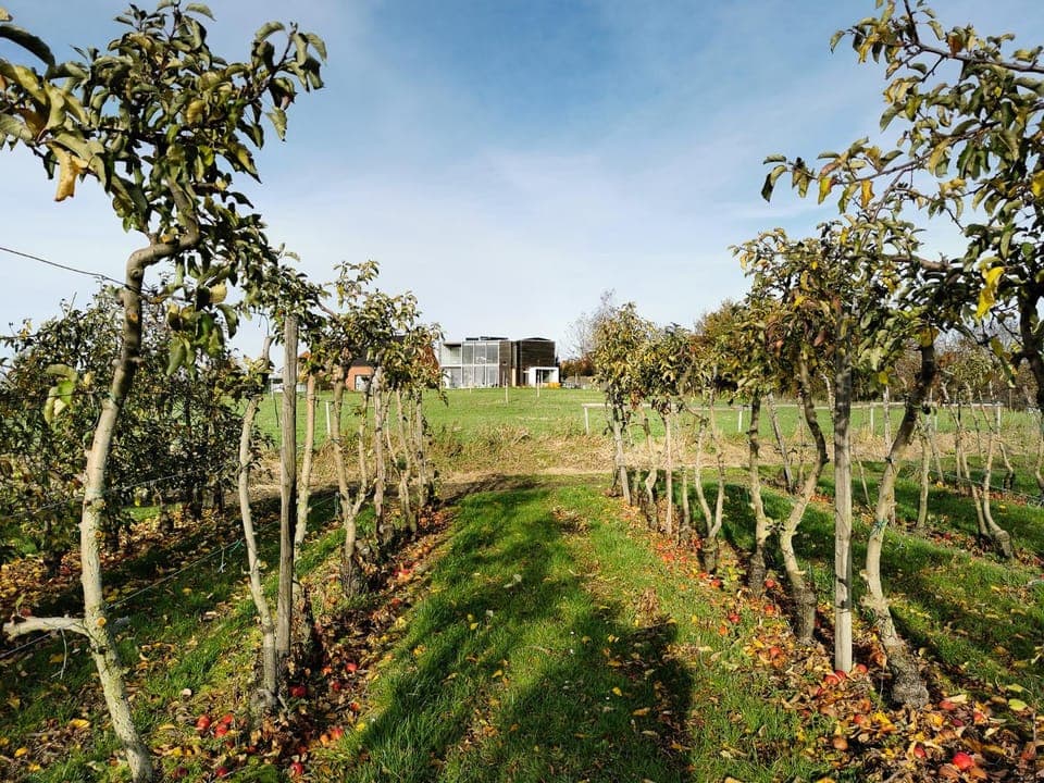 Neighbourhood, Natural landscape, Summer, Garden, View (from property/room), Hiking