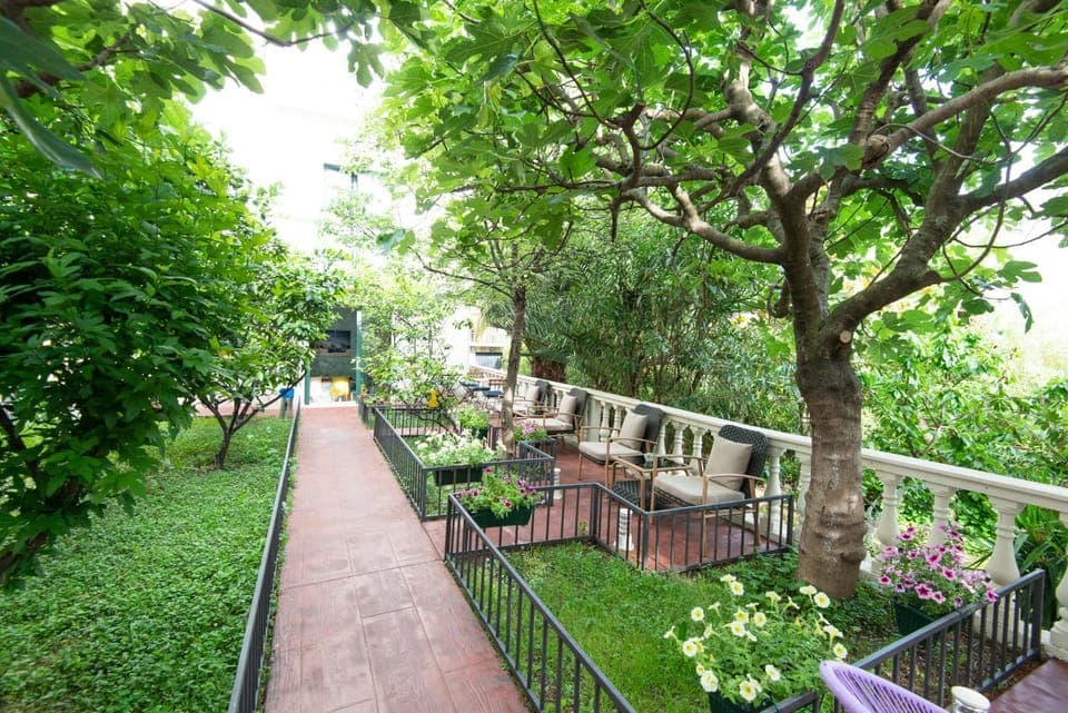 Patio, Garden, Balcony/Terrace, Garden view