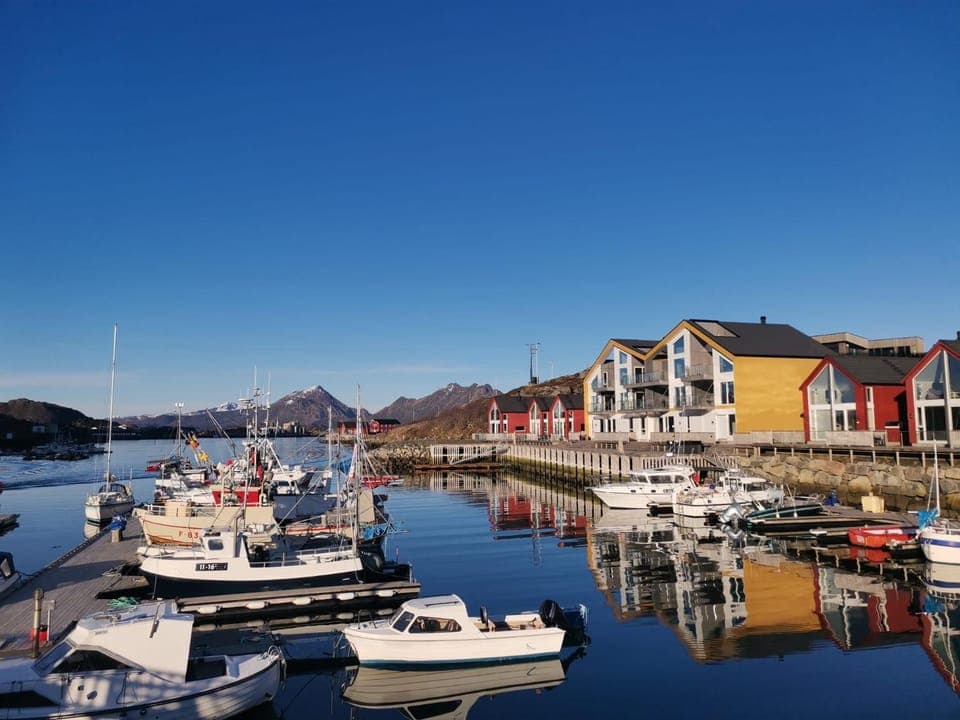 Karlotte's apartment Apartment in Lofoten