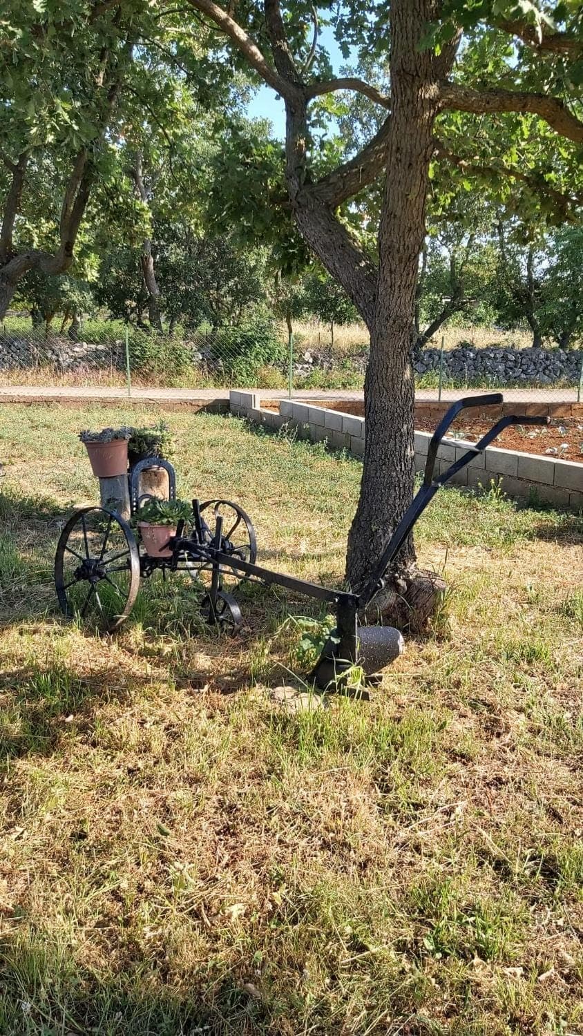 Natural landscape, Activities, Garden