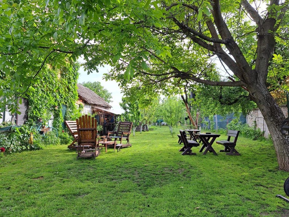 Day, Natural landscape, Garden, Garden view