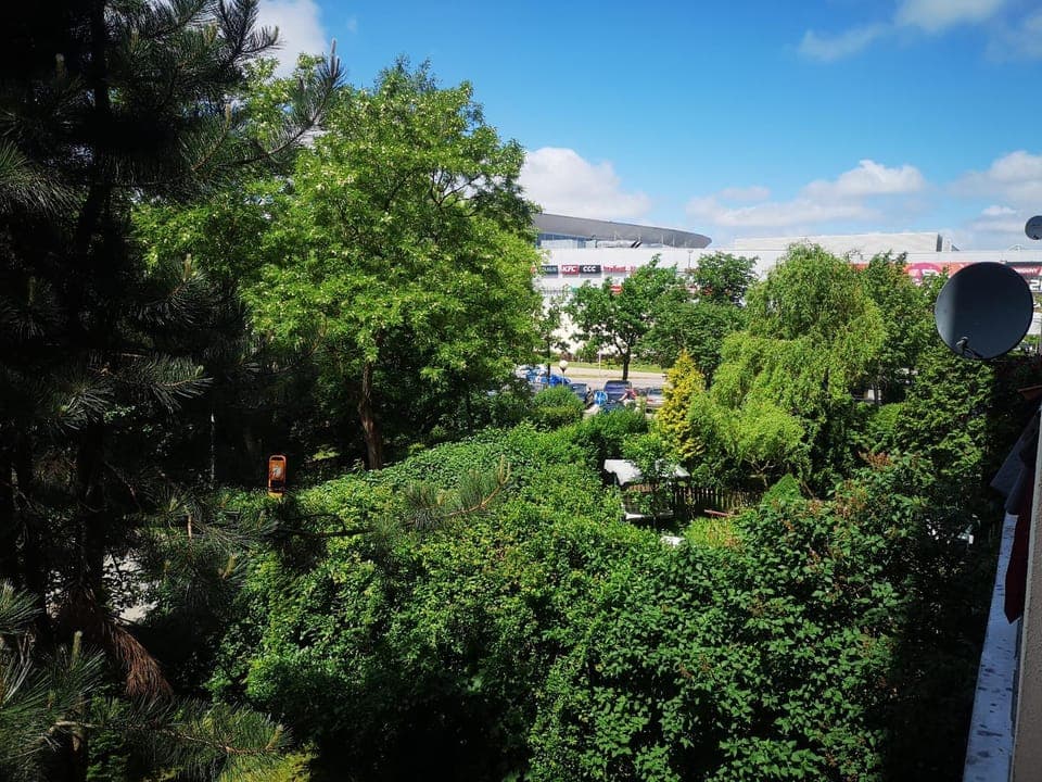 Natural landscape, City view, Street view