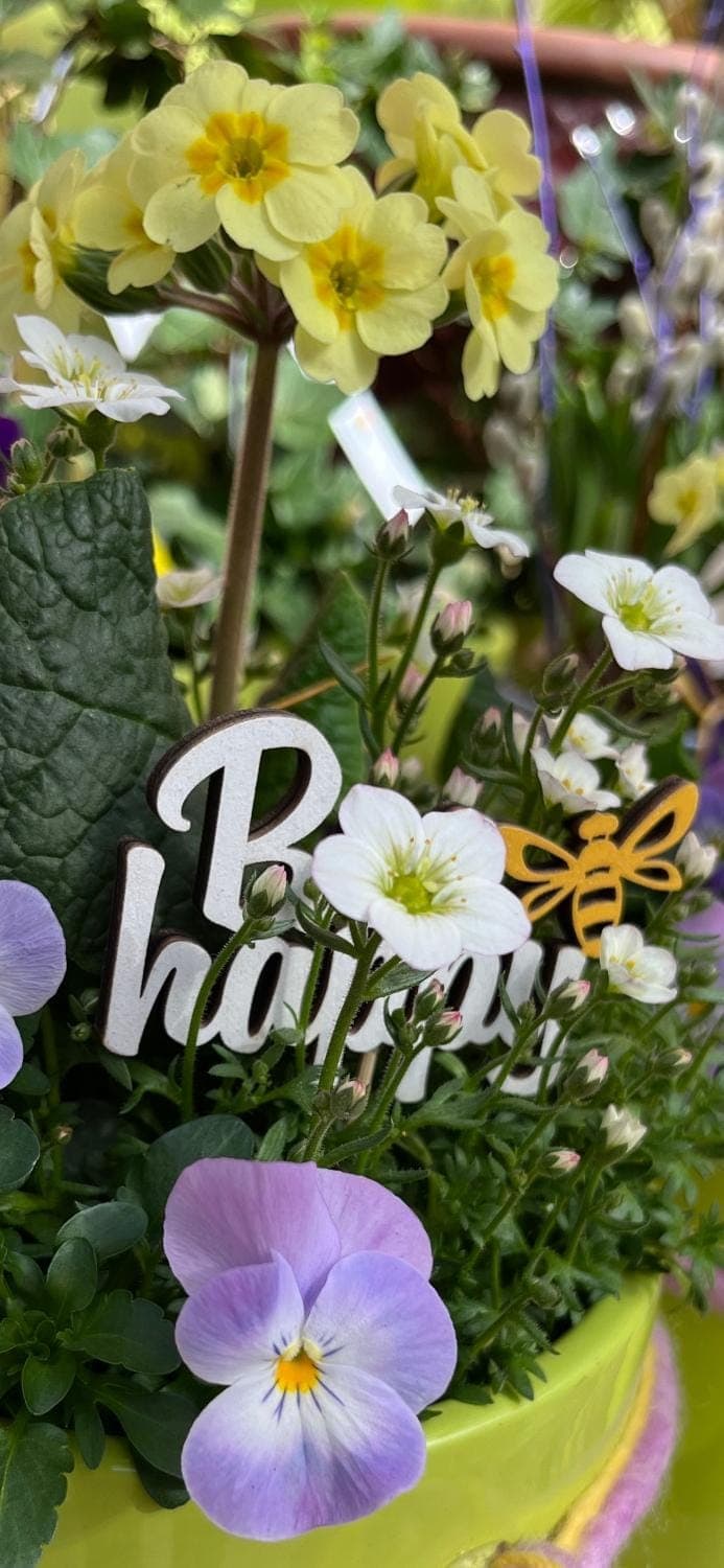 Spring, Decorative detail