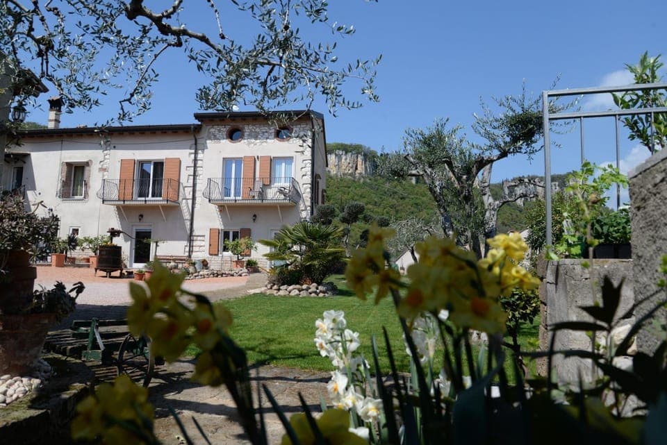 Property building, Garden, Garden view