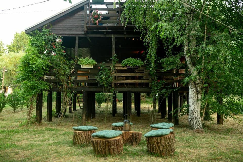 Property building, Garden, Garden view