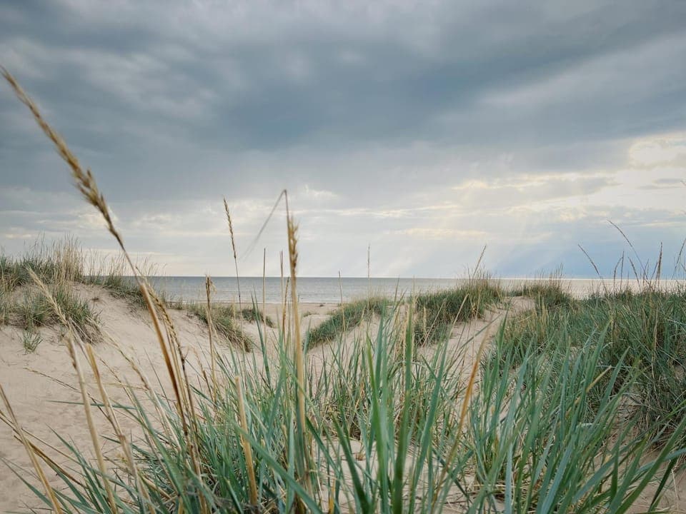 Sea view