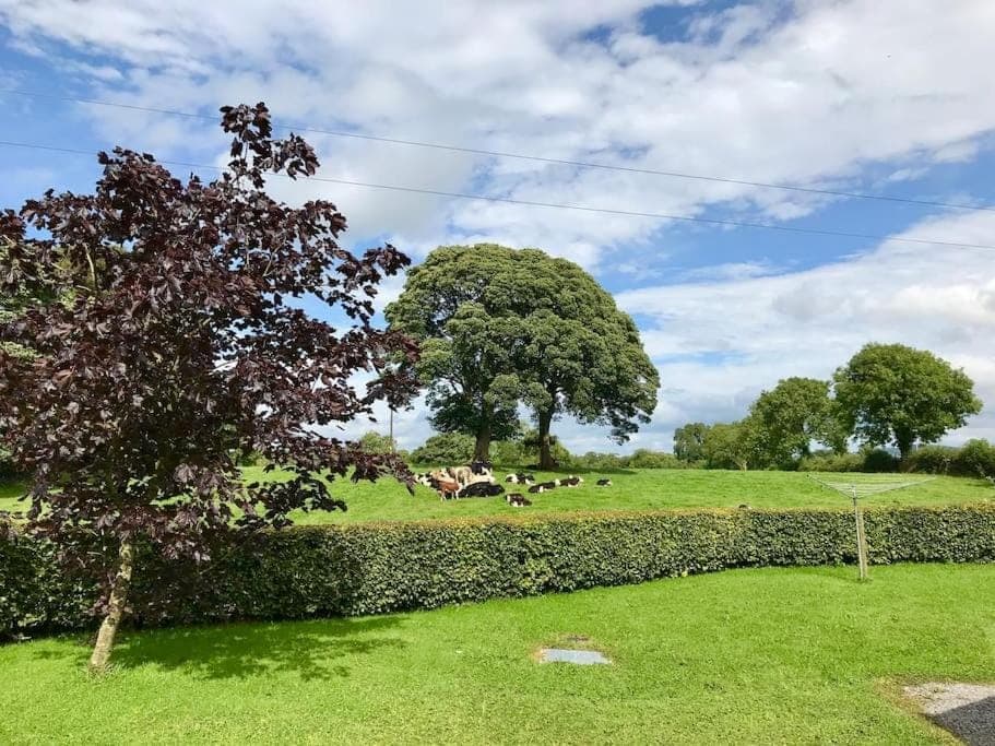 Dan Rua's Cottage House in Meath, Co. Meath, Ireland
