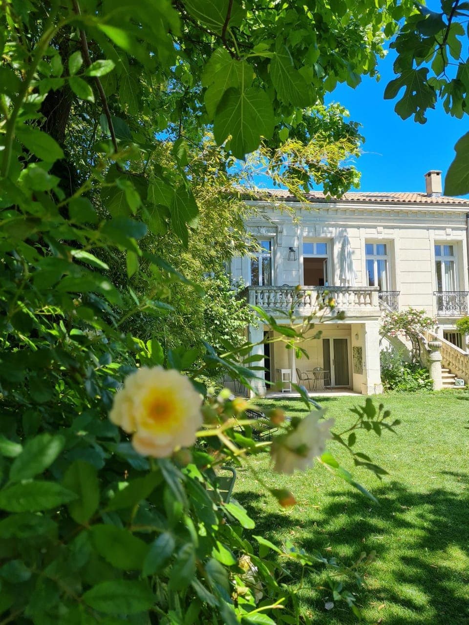 View (from property/room)