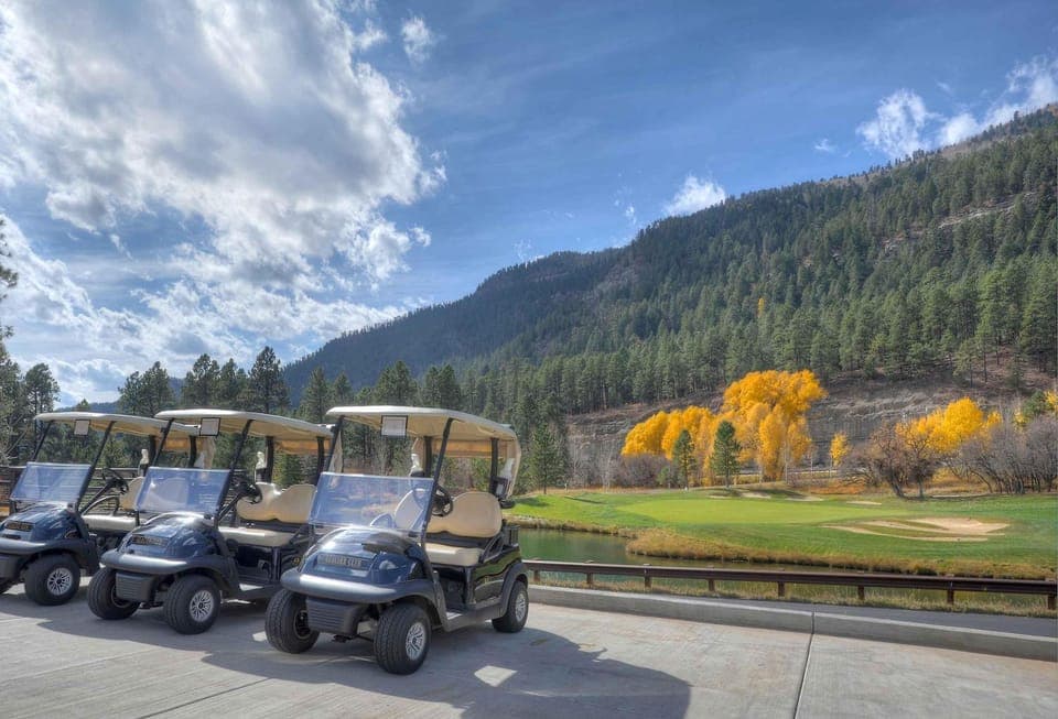 Tamarron Lodge Studio 306 House in La Plata County