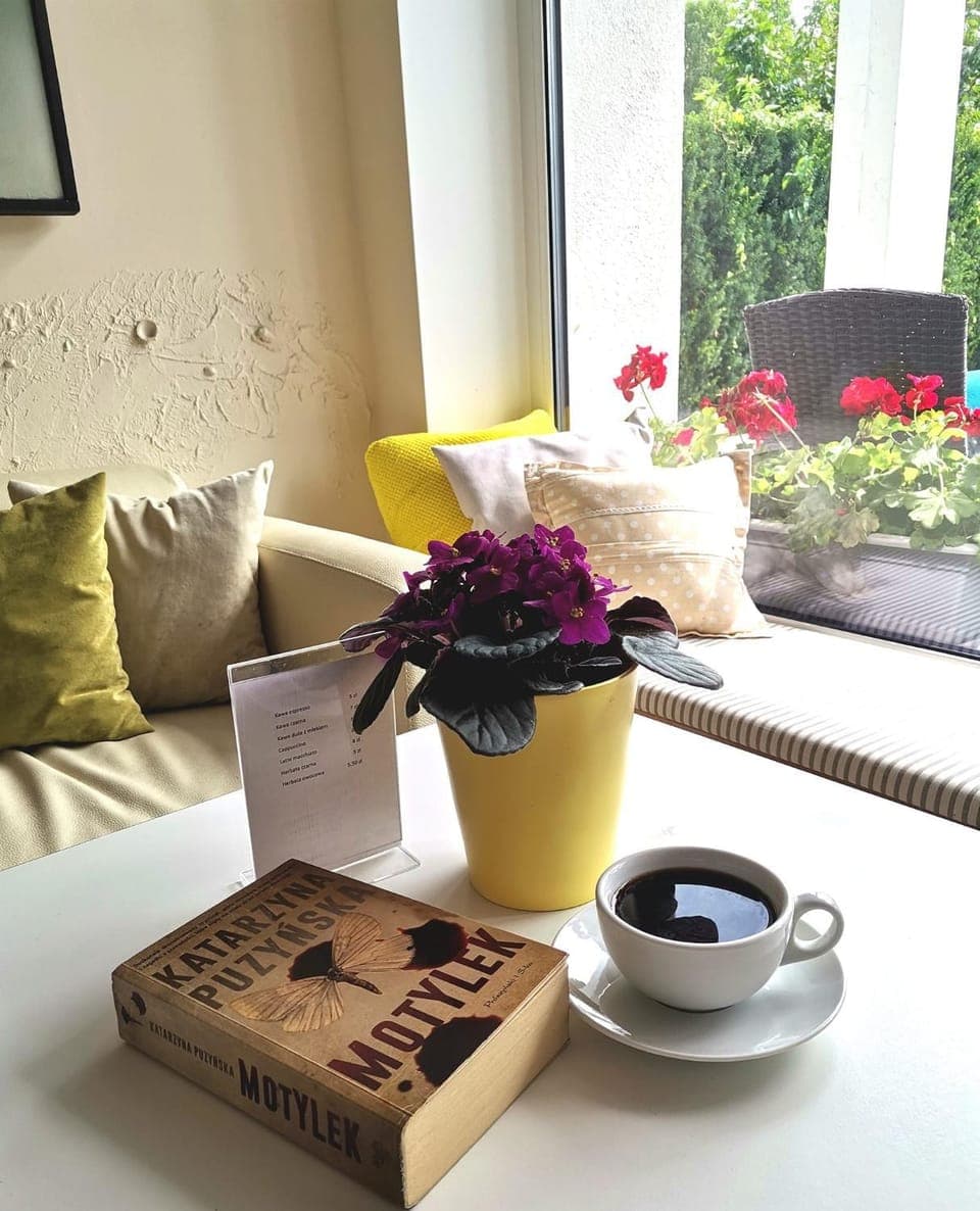 Lounge or bar, Drinks