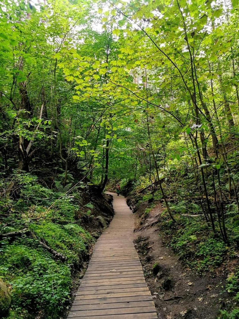 Nearby landmark, Natural landscape