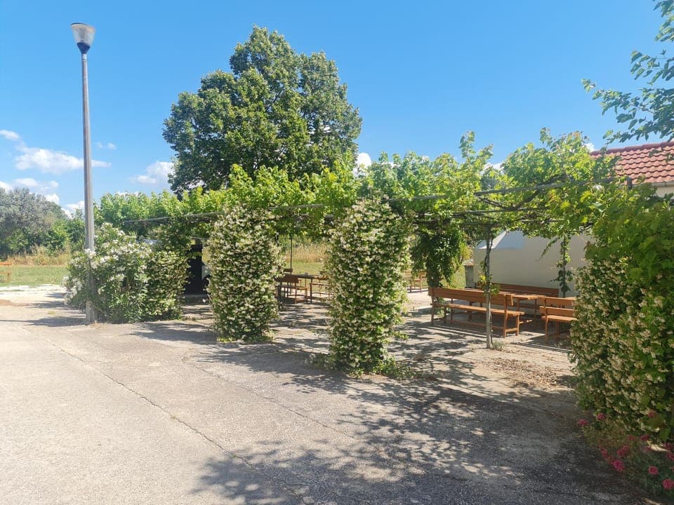 Garden, Parking