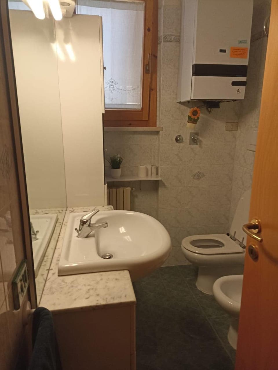 Shower, Toilet, Bathroom, bidet