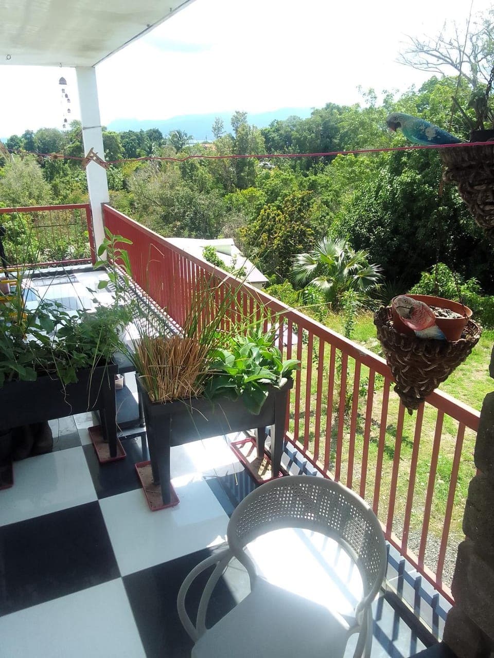 View (from property/room), Balcony/Terrace