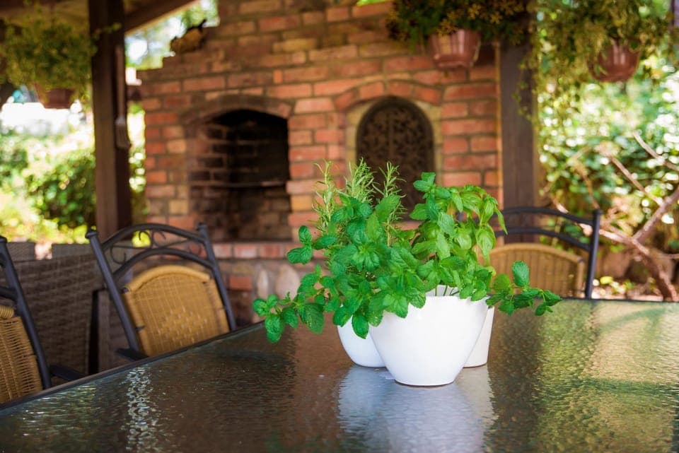 BBQ facilities, Garden