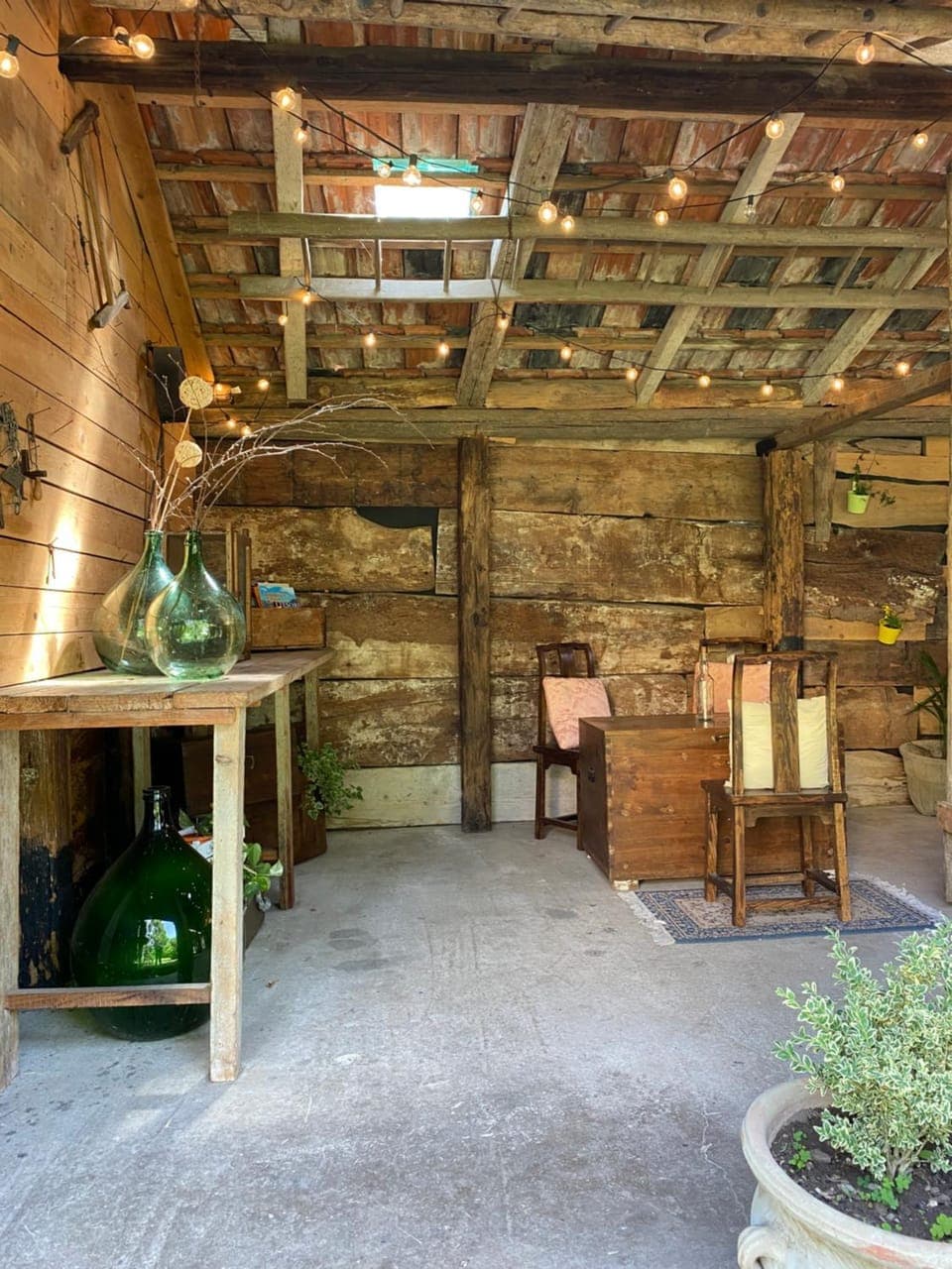Patio, Garden