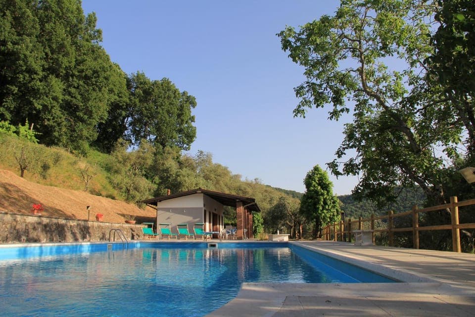 Swimming pool, Swimming pool