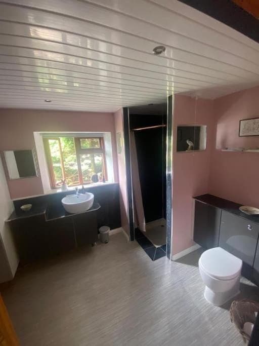 CuckOO Nest Entire house House in Northern Ireland