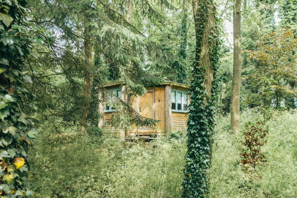 Property building, Garden view