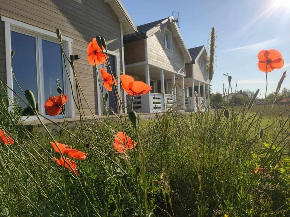 Summer, View (from property/room)