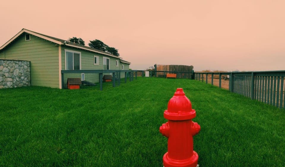 Property building, Natural landscape