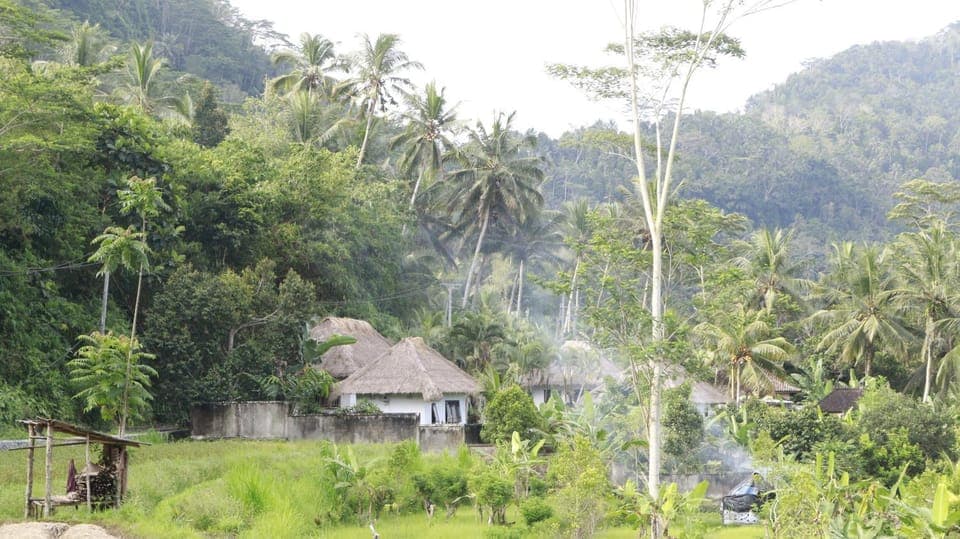Day, Natural landscape, Garden, Mountain view