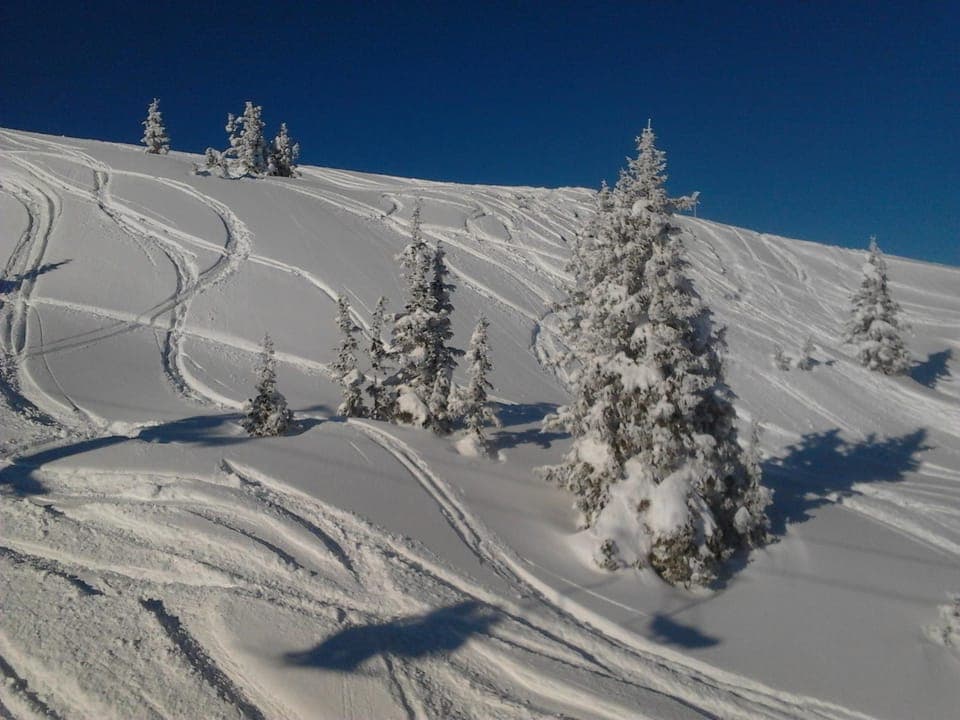 Skiing, Area and facilities