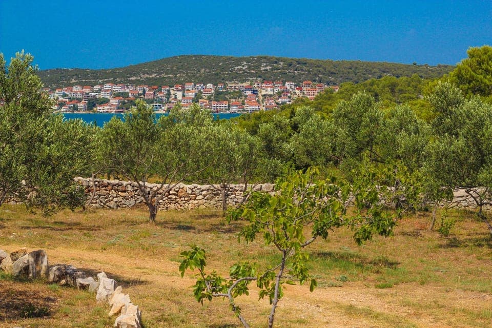 Natural landscape