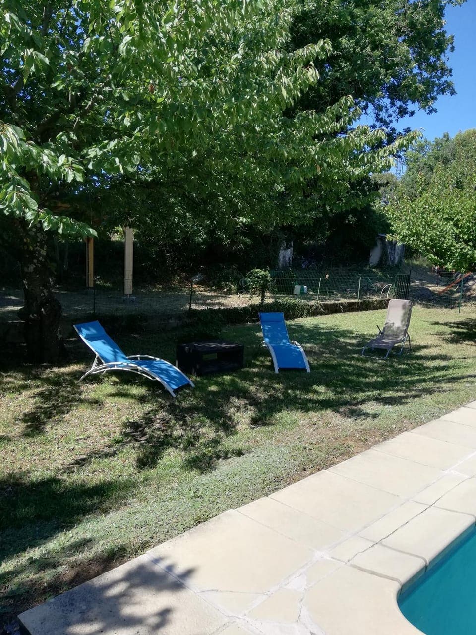 Garden, Pool view, Swimming pool, sunbed
