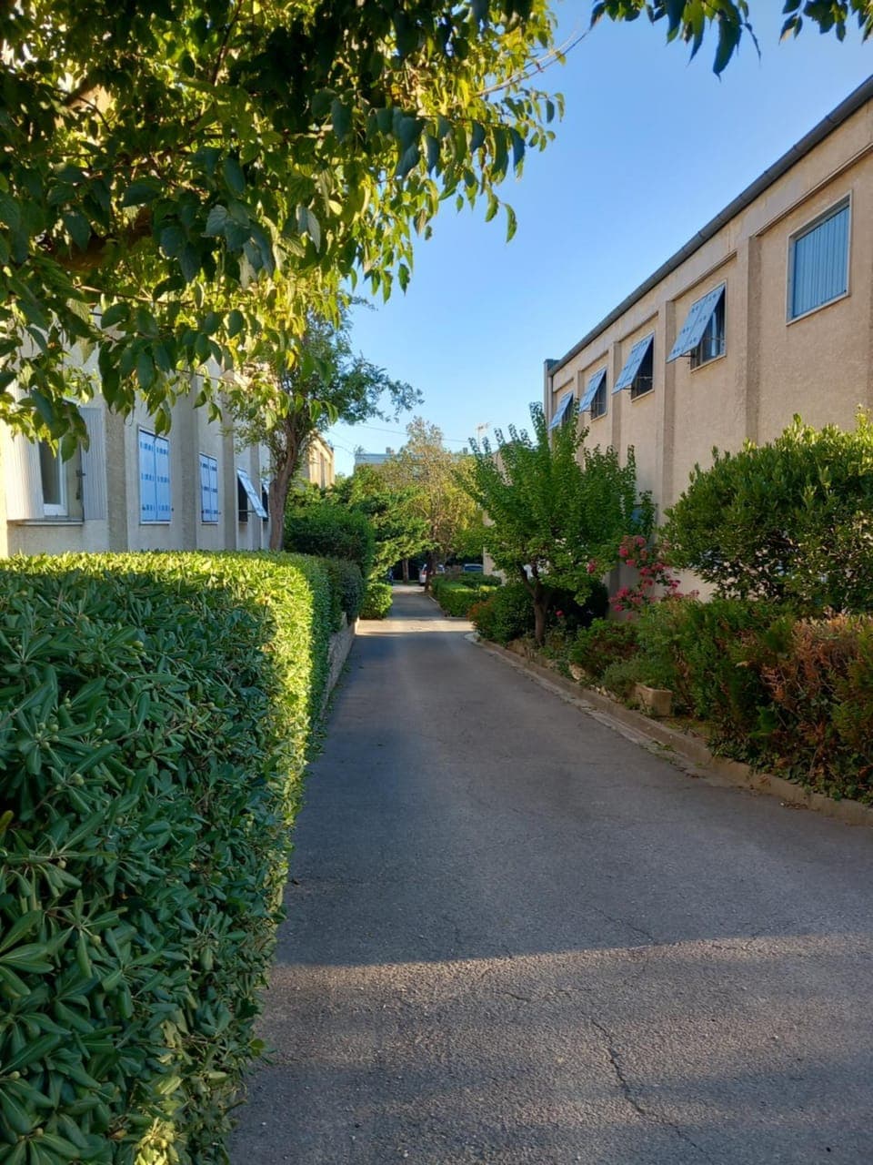 Inner courtyard view