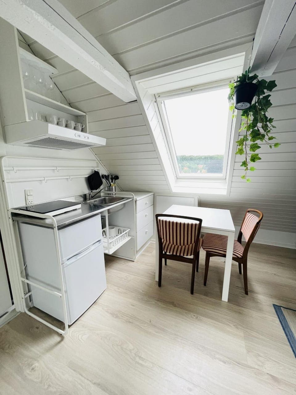 Kitchen or kitchenette, Dining area, stove