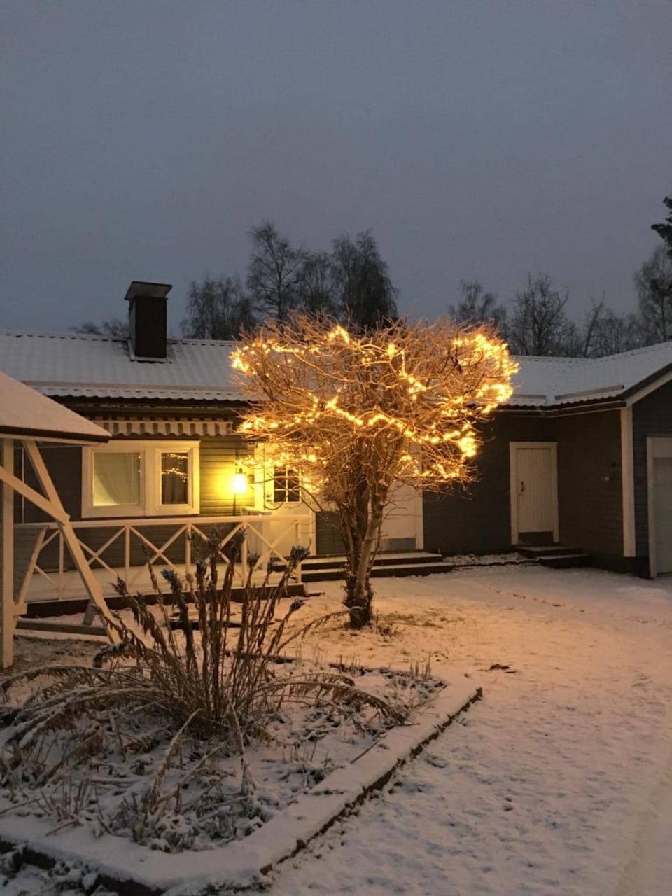 Property building, Winter