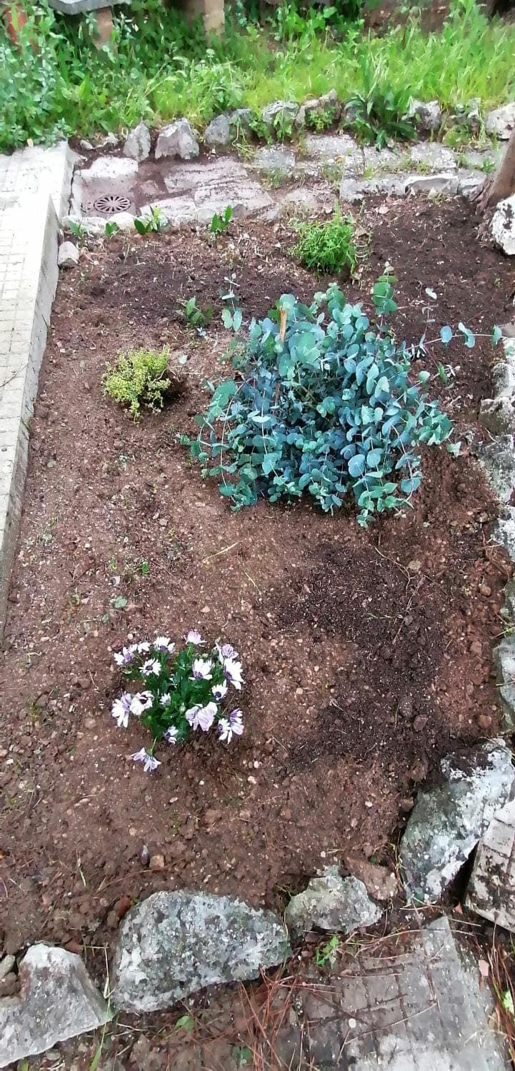 Spring, Garden, Garden view