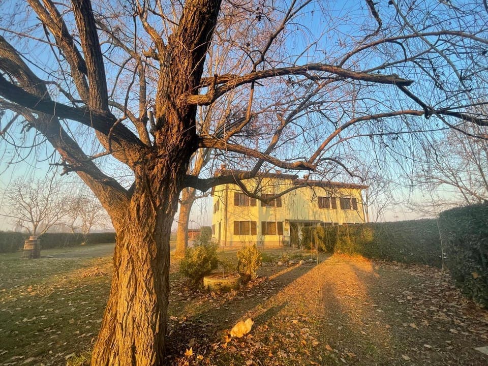 Property building, Natural landscape, Garden