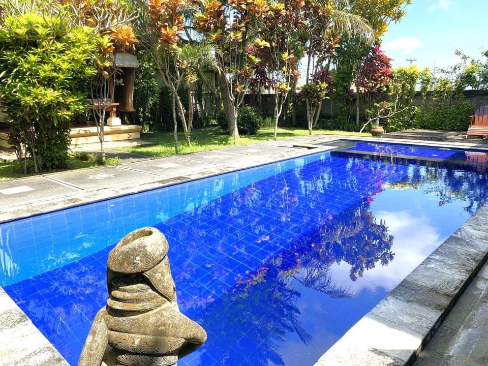 Day, Garden, Garden view, Pool view, Swimming pool, sunbed