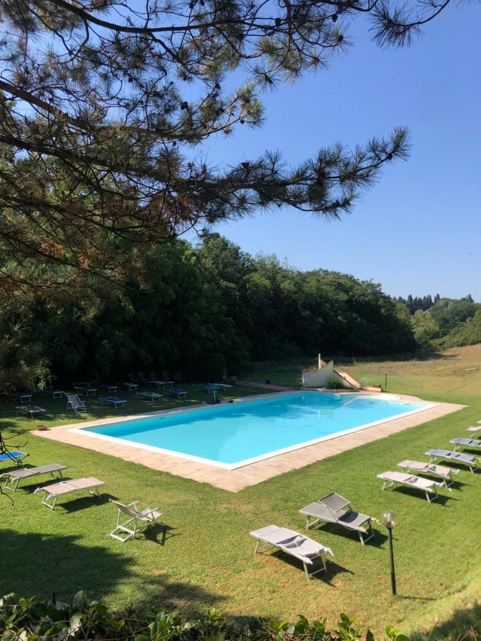 Day, Natural landscape, Garden, Garden view, Pool view, Swimming pool, Swimming pool