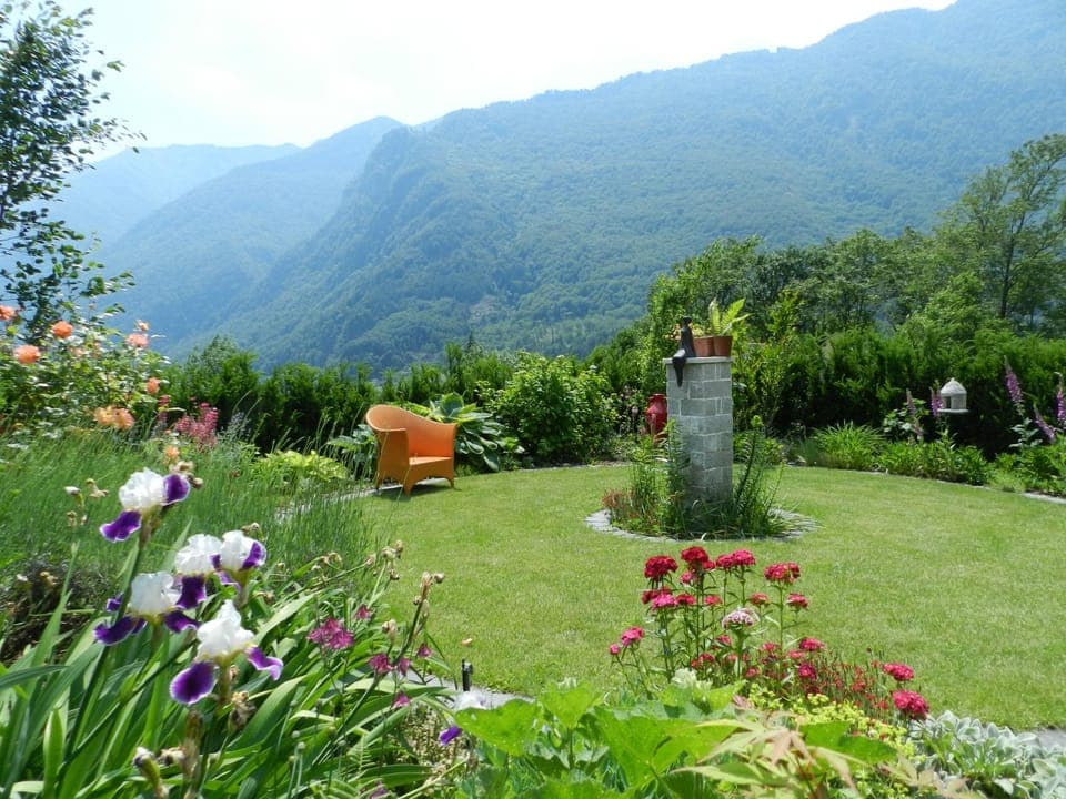 Garden, Mountain view