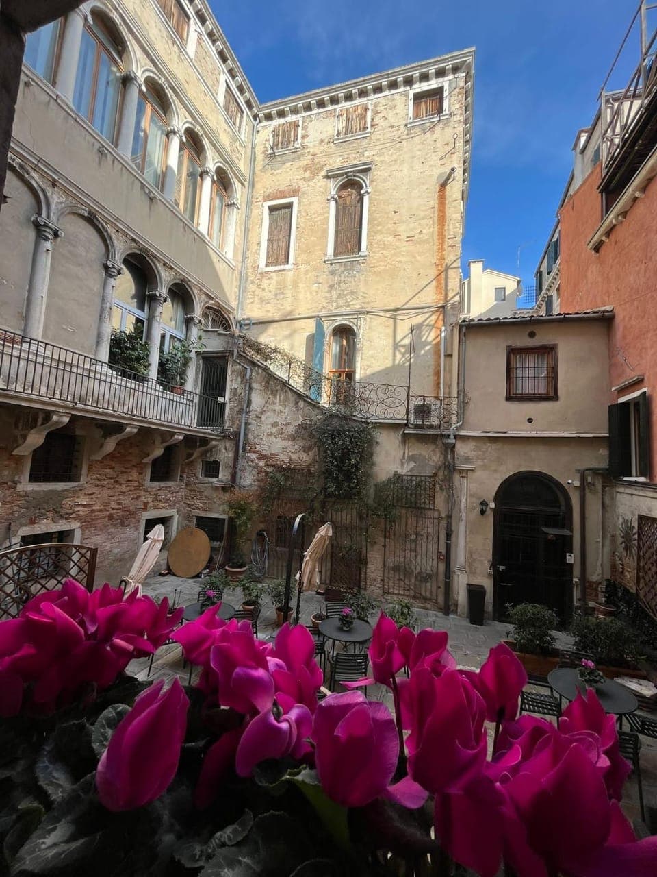 Property building, Garden, Garden view