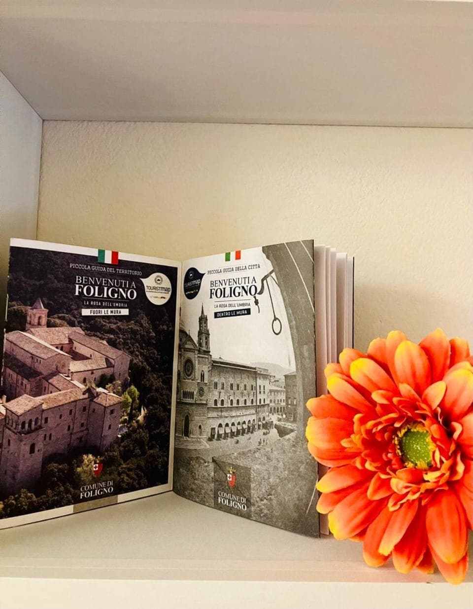 Logo/Certificate/Sign