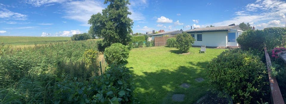 Property building, Garden, Garden view
