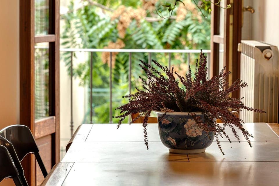 Decorative detail, kitchen