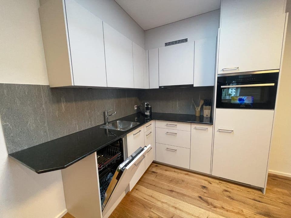 Kitchen or kitchenette, dishwasher, minibar, oven, pet friendly, stove